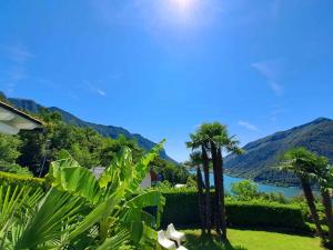 Casa Bellavista Rovio, Appartamento Terrazza