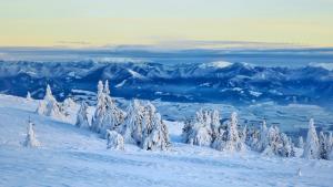 Chata MartinSki Martinske hole