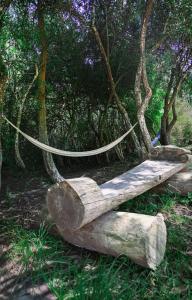 Valle de Domos - Minas