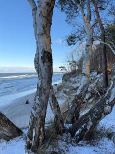 Gold Apartament z widokiem na morze Dziwnówek