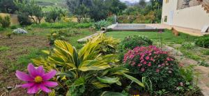 House with a heated pool