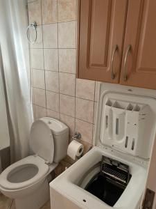 Olive Grove Family Home