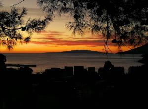 Dalmatia Paradise Apartments