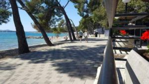 Mobile home Butterfly