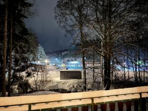 STANMA Lodge Braunlage - Naturpartments am Fluss mit Sauna und Bergblick