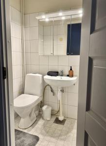 Niivaara Cozy Apartment, Near Hospital, AMK & City