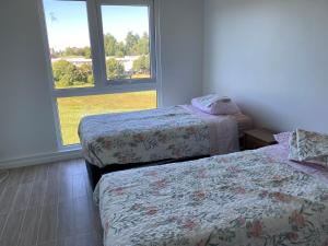 Studio Pet Friendly en Isla Teja, Valdivia