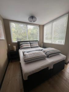 Cozy studio 40m2 - close to city center and park