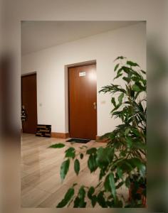 Urban Chic Apartment