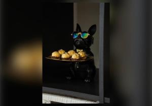 Urban Chic Apartment