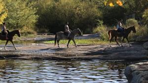 Monoambiente a metros del río