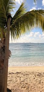 Till April at Medemblik from 1 Mai on the go to Paramaribo Suriname incl B&B& Skipper