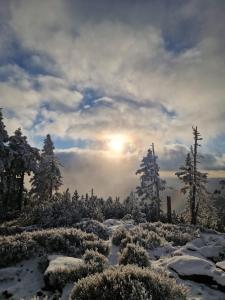 Biała Perła Residence Czarna Góra