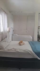 Lar Jampa Praias Sul