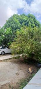 Pousada 48 Graus - Caldas do Jorro BA