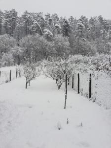 La Ţară Casa Angelica