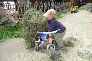 Ferienbauernhof Schneider