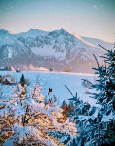 Dom Tatrzański Widok