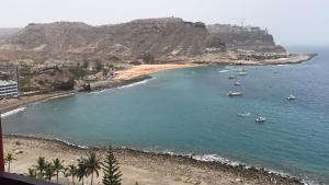 PENTHOUSE IN THE SEA, Tauro