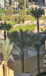 Central Family Apartment Near Malls & Services