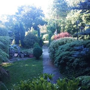 Cabaña Familiar Pétalos Villarrica