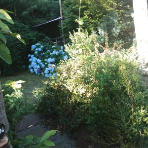 Cabaña Familiar Pétalos Villarrica