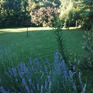 Cabaña Familiar Pétalos Villarrica