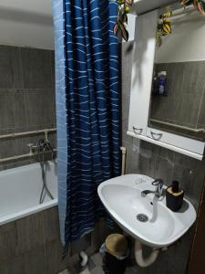 Jednosoban stan centar Ela,