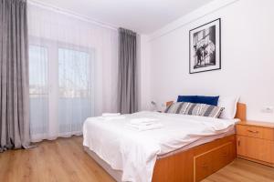 Apartament Central 2