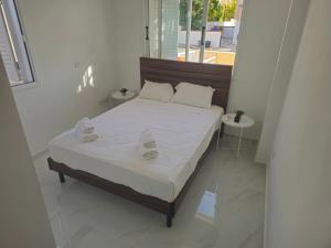 Shiamis Modern House