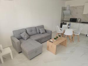 Shiamis Modern House