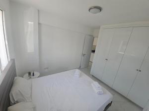 Shiamis Modern House