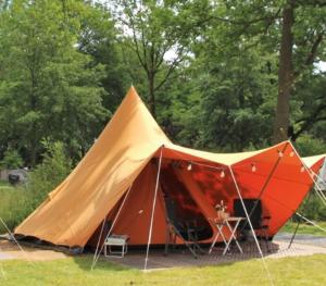 Erve Zonnehoeve Minicamping en Wijngaard