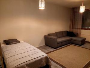 Cozy apartment at Arctic Circle