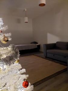 Cozy apartment at Arctic Circle