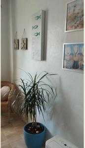 apartement avec parking prive