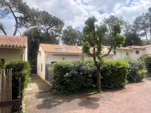 la pinede de St georges