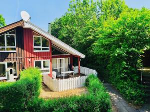 Komfort-Ferienhaus Sonnental #50