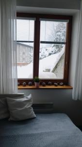 Horský apartmán ROKY - Krkonoše