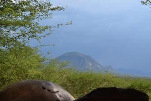 Karibu Self-Catering Unit 1