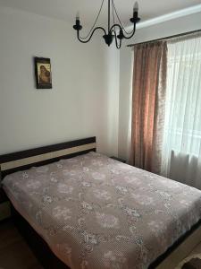 Apartament La Nico