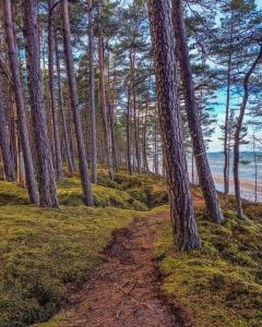 Comfy apartment with a balcony by the sea