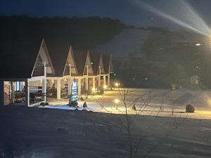 Domki całoroczne ,,DOLINA BIESZCZAD"