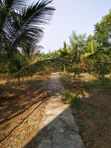 Gulmohar Cottages - Home Stay in Alibag