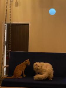 Modern Cozy Home with Private Terrace and Plants