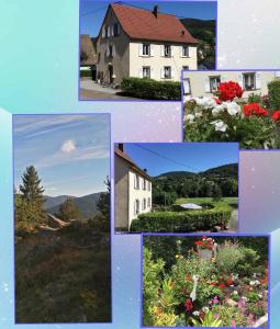 Alsace Gîte 3 étoiles au calme avec jardin wifi 65m2 4per