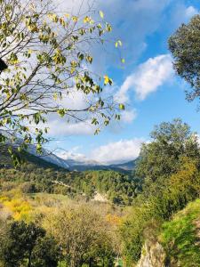 Estudio con jardín en Añisclo, Parque Nacional Ordesa