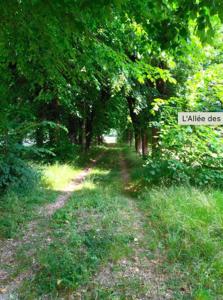 Chateau de Vincelles