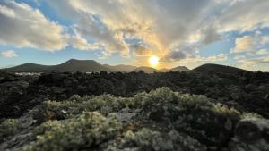 Stylish getaway with secluded Patio in lava Finca