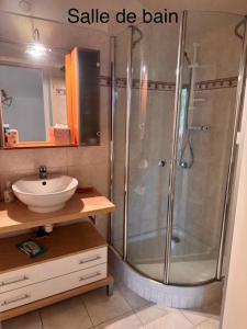 Grand studio centre Vias historique